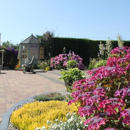 Woodview B&B Ardee Eksteriør bilde