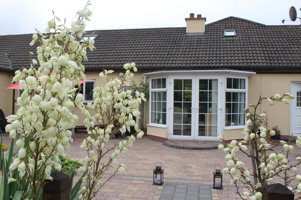 Woodview B&B Ardee Eksteriør bilde